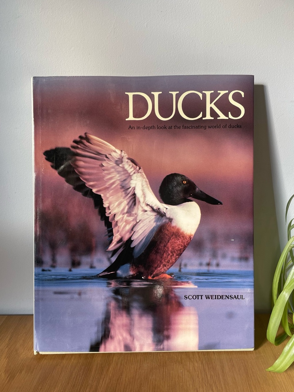 Vintage 1990 DUCKS Hardcover Coffee Table Book Scott Weidensaul